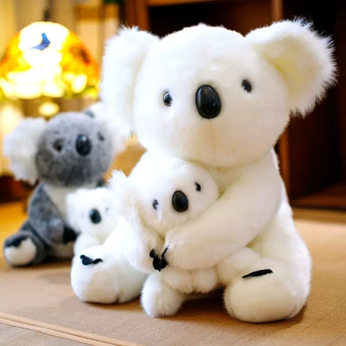 Plush Koala Bear Toy - Rad Collection - Variable Sizes