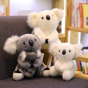 Plush Koala Bear Toy - Rad Collection - Variable Sizes